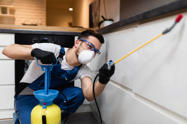 Best Pest Control for Businesses  in East Rutherford, NJ
