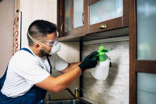 Best Termite Control Services  in East Rutherford, NJ