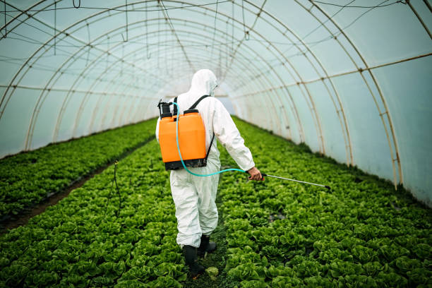 Pest Control for Restaurants in East Rutherford, NJ