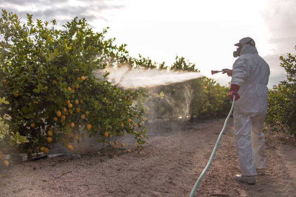 Best Local Pest Control Services  in East Rutherford, NJ