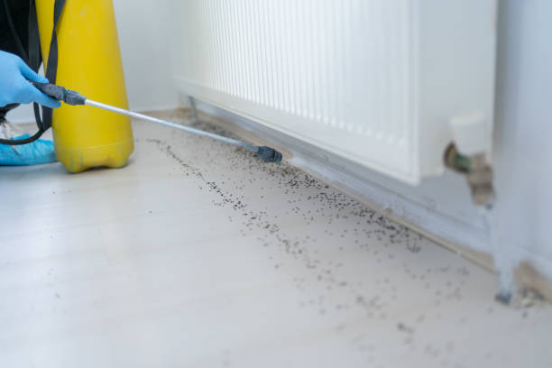 Best Commercial Pest Control Services  in East Rutherford, NJ