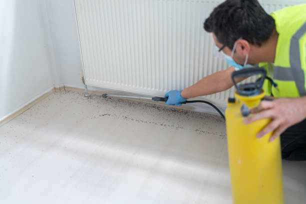 Best Affordable Pest Control Services  in East Rutherford, NJ